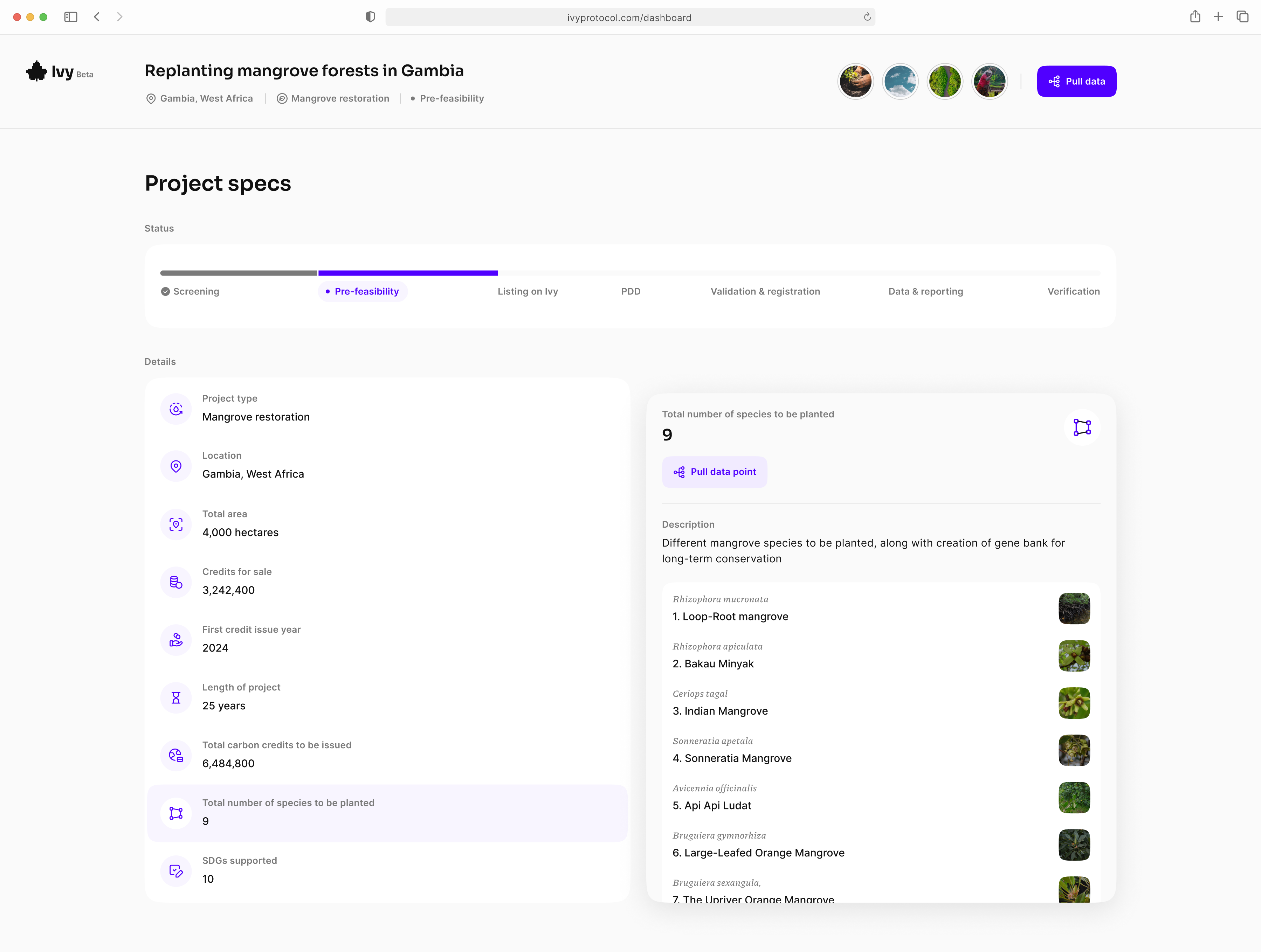 Ivy Dashboard Illustration - The Home For Everything Forward Finance